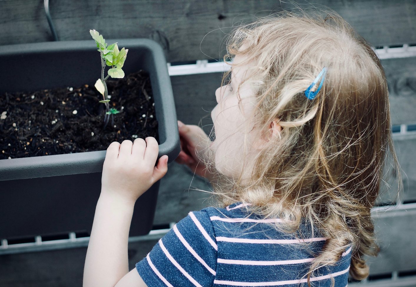 Girl_plant_seedling