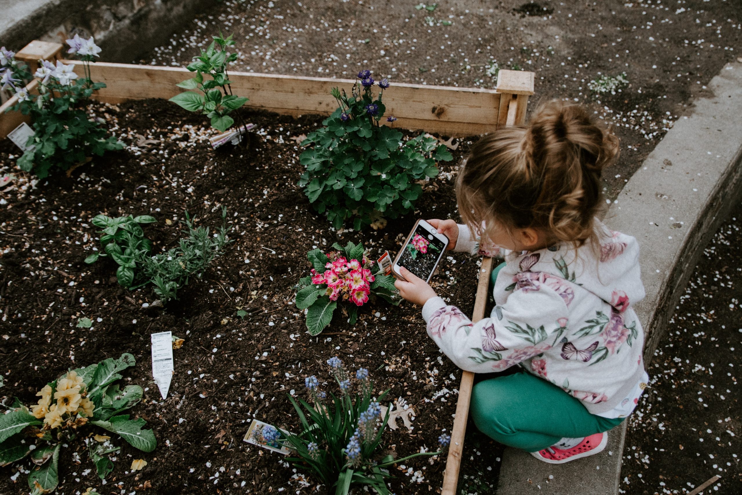 Girl_Phone_Plants_Garden