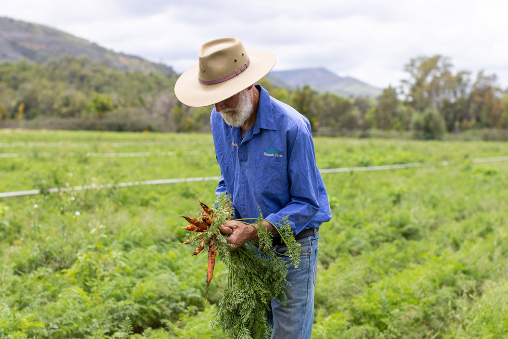 Rob Bauer, 4th generation farmer at Bauer's Organic Farm.