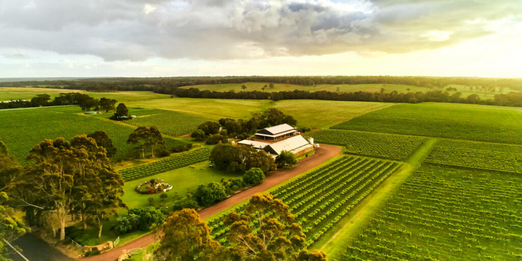 Cullen wines vineyard in spring