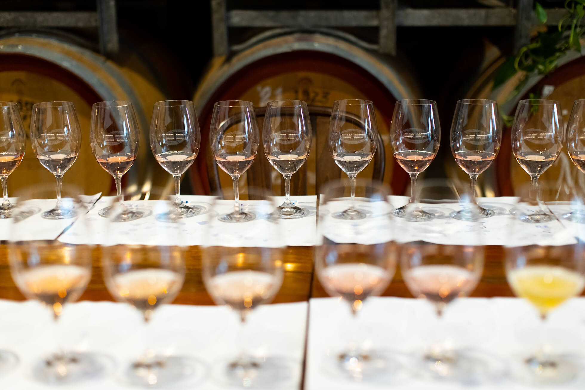 Wines on a table at the Australian Organic Wine Awards judging 2021